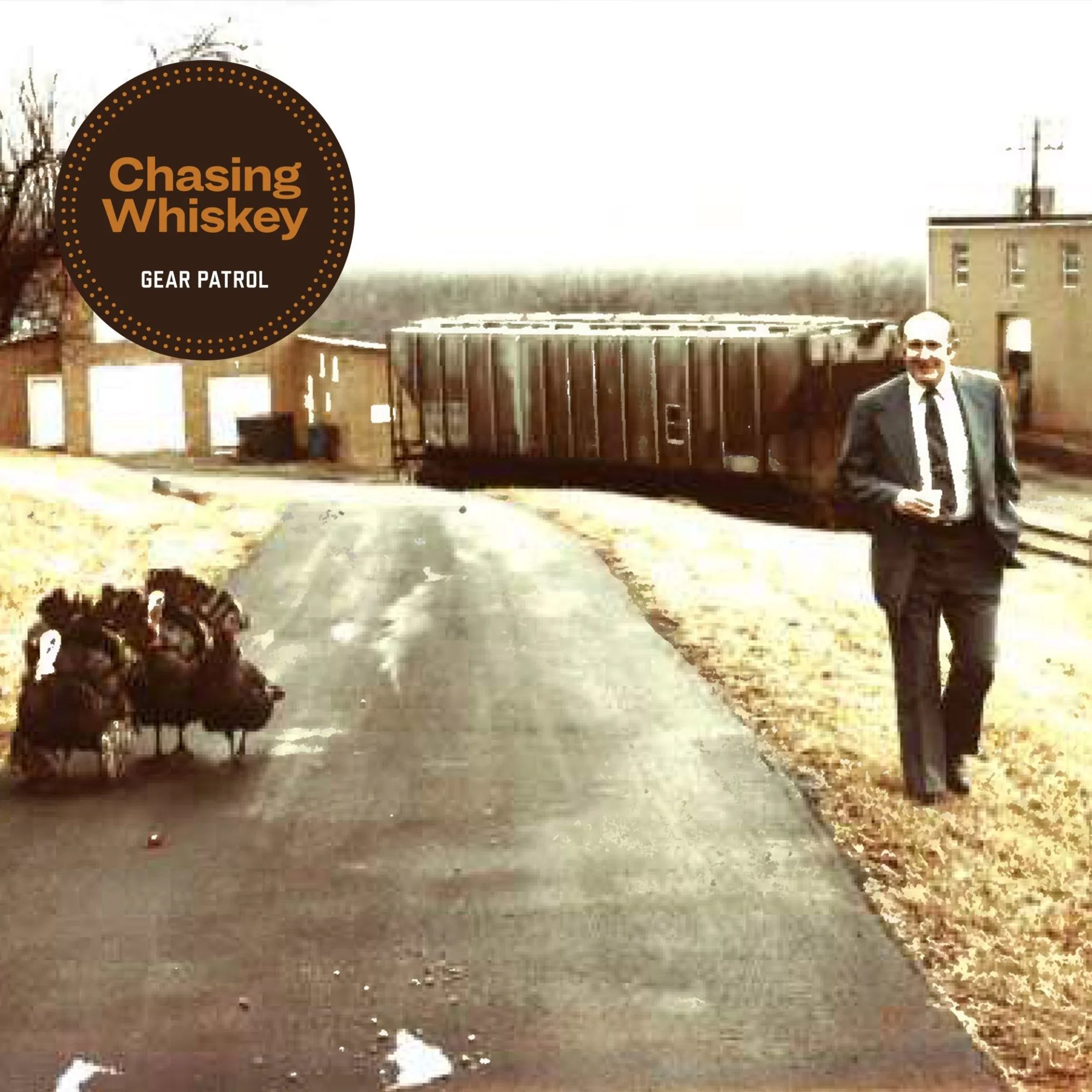 wild turkey archival