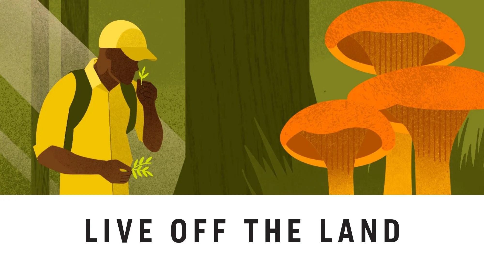 gear patrol magazine microadventures