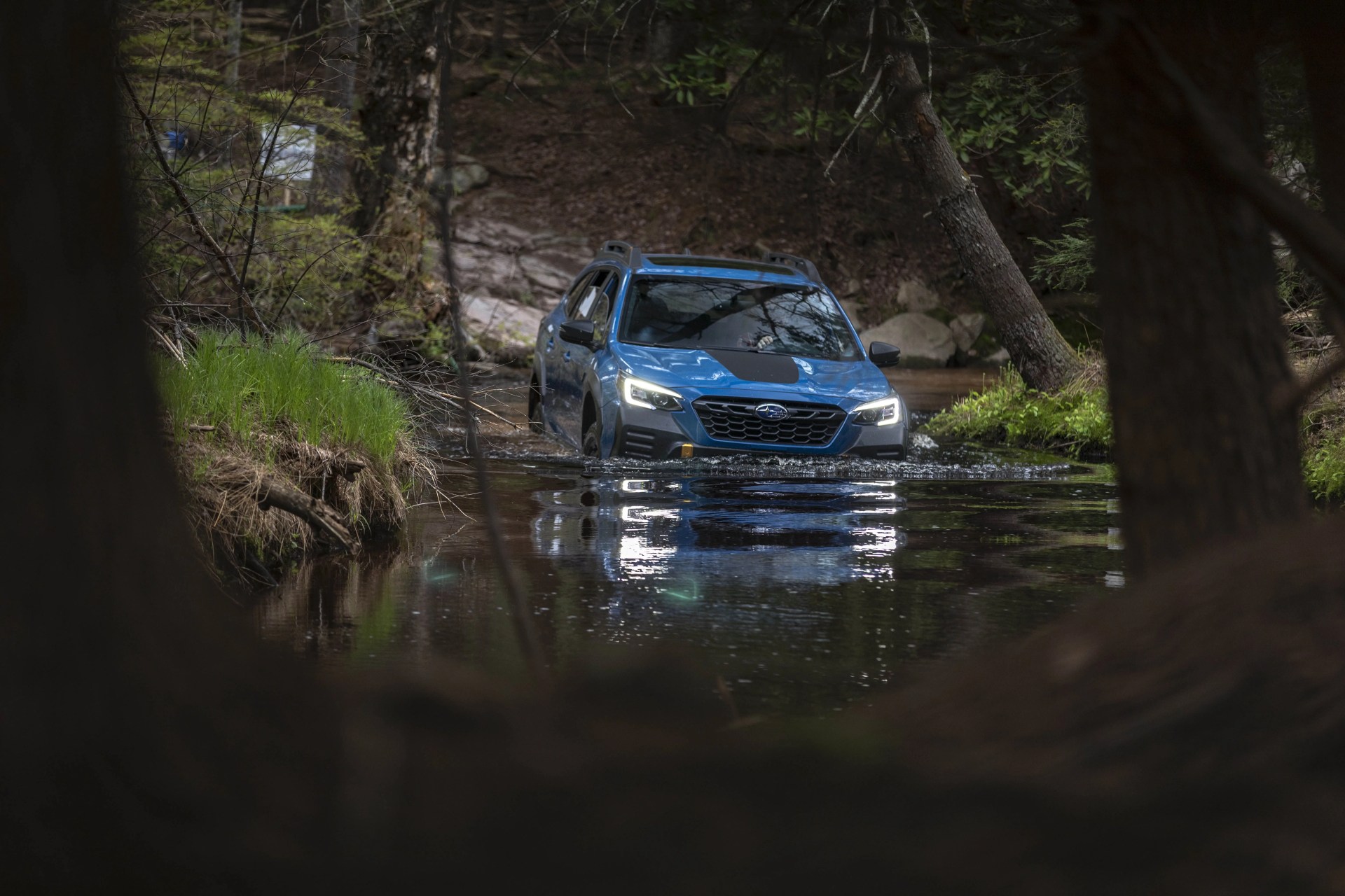 subaru outback wilderness