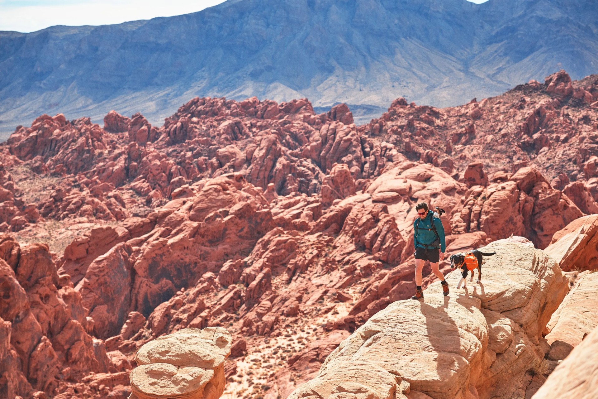 backcountry man walking through rocky terrain with dog