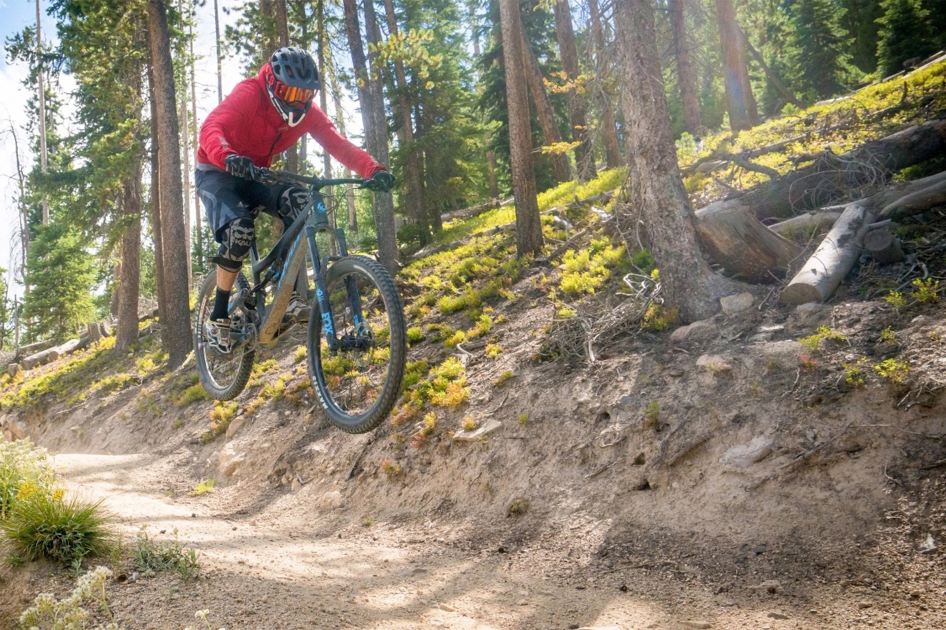 biking in trestle bike park