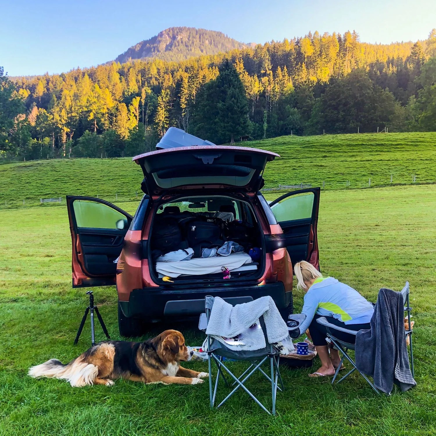cooking on camping stove while car camping