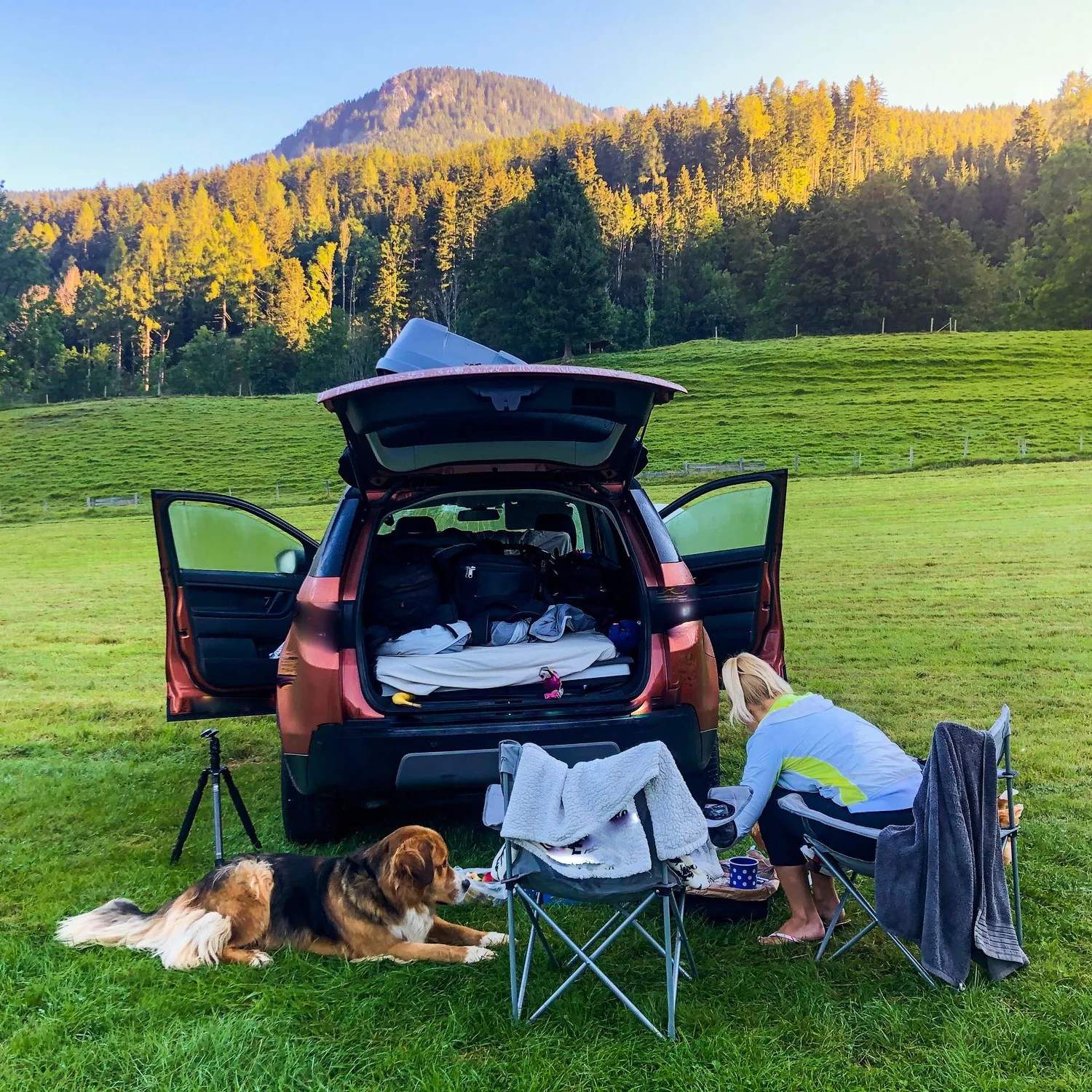 cooking on camping stove while car camping