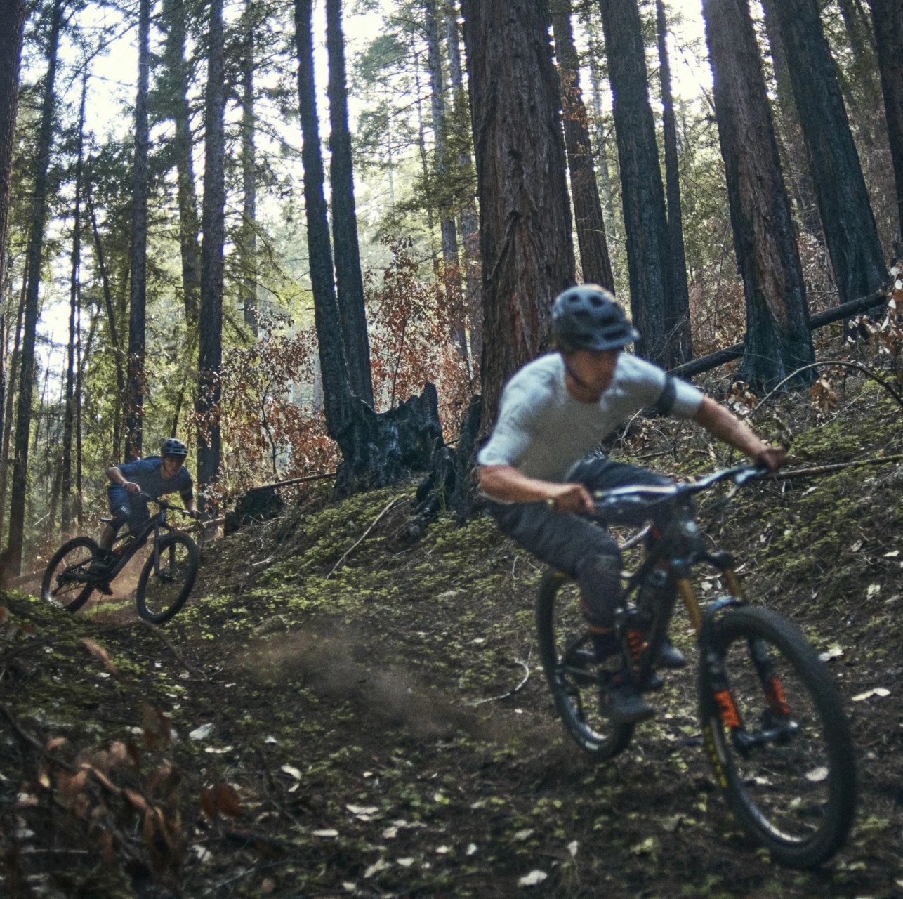 two people riding mountain bikes