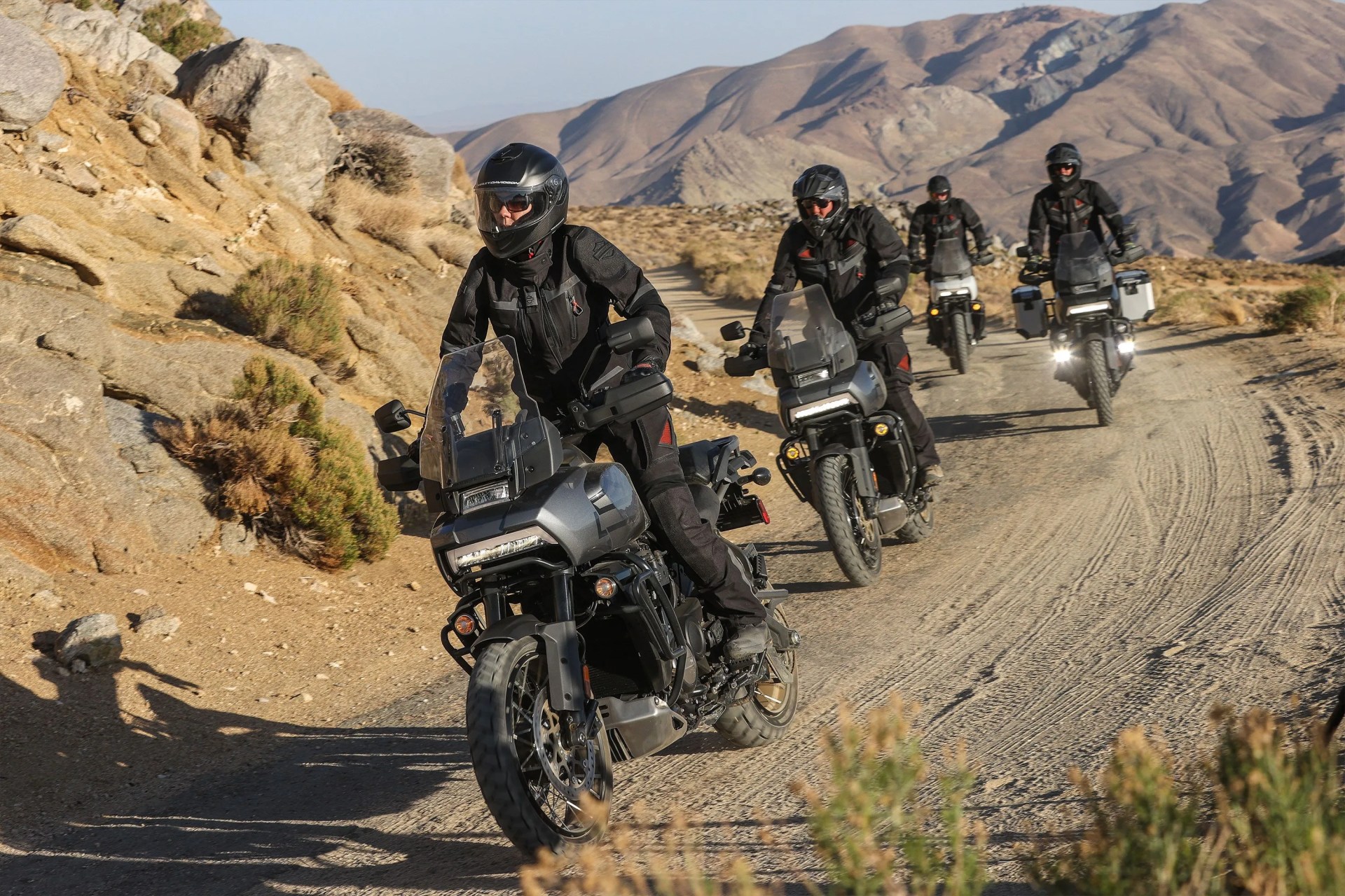 group of riders on harley davison motorcycle