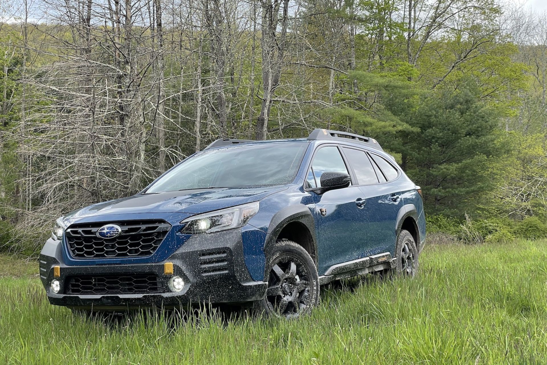 subaru outback wilderness wsc