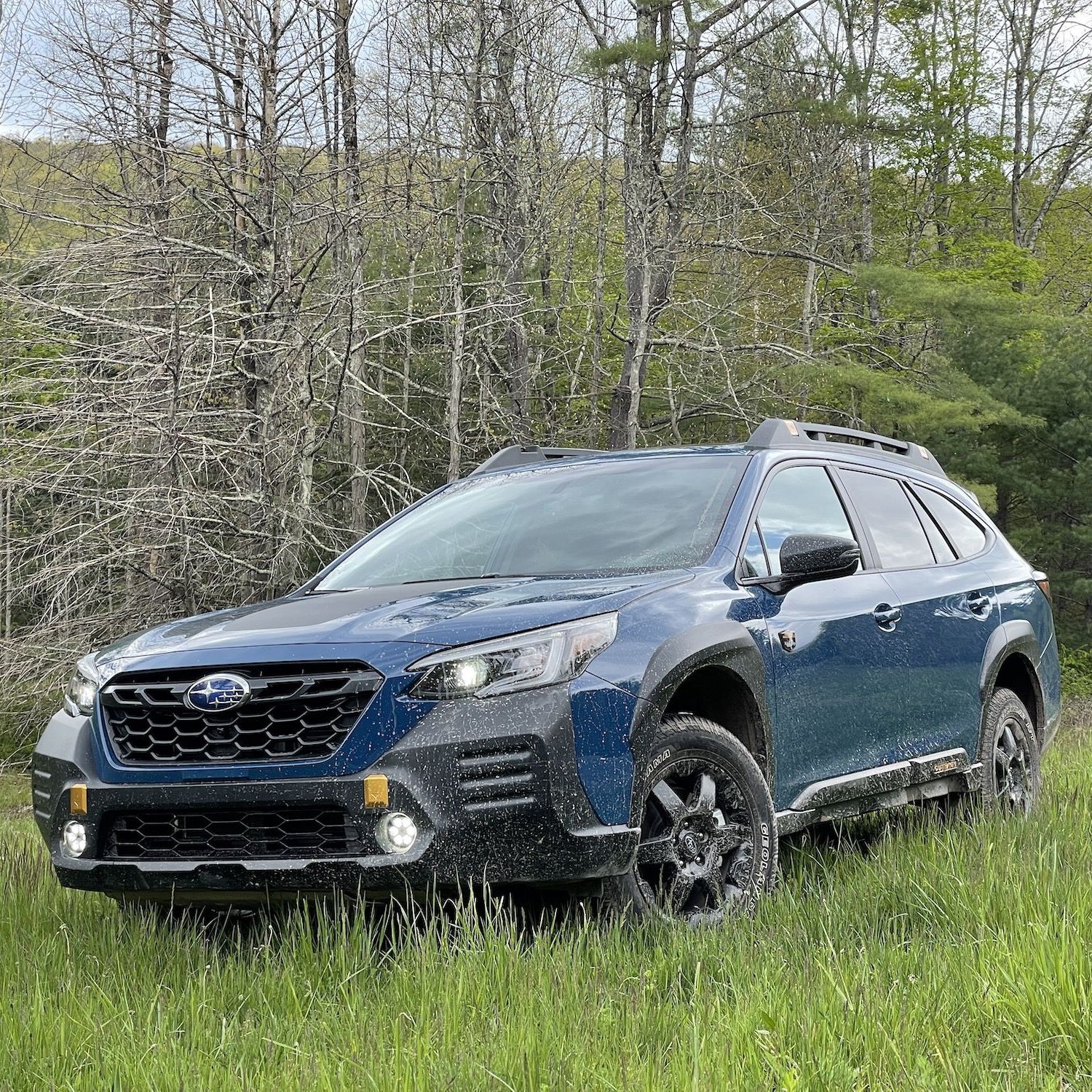 subaru outback wilderness wsc