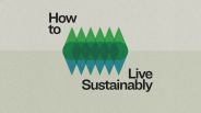how to live sustainably
