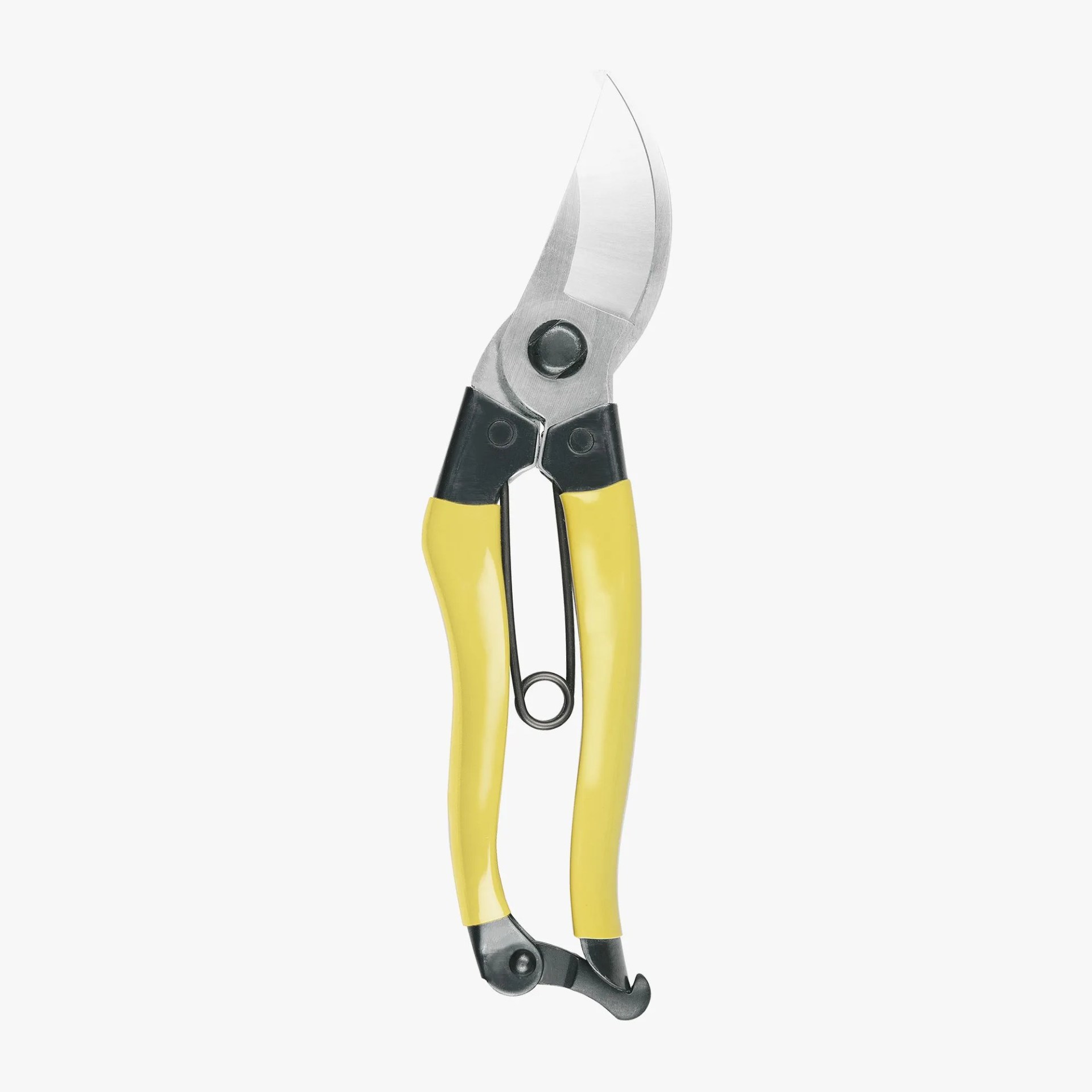 Mainichi Secateurs