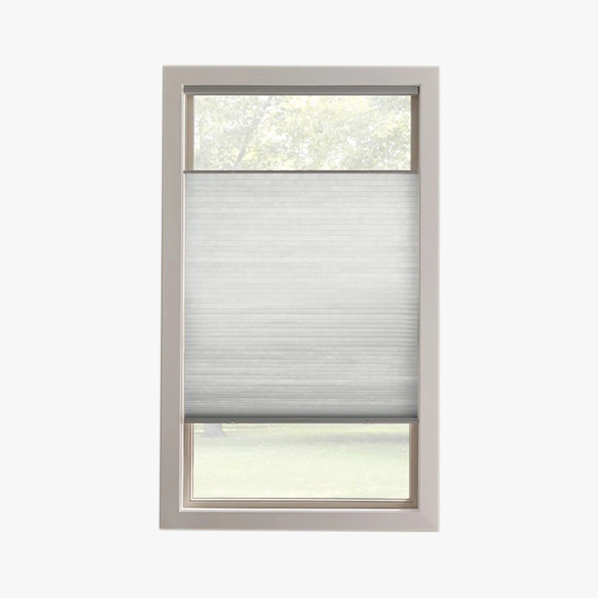 Light Filtering Cordless Cellular Shade