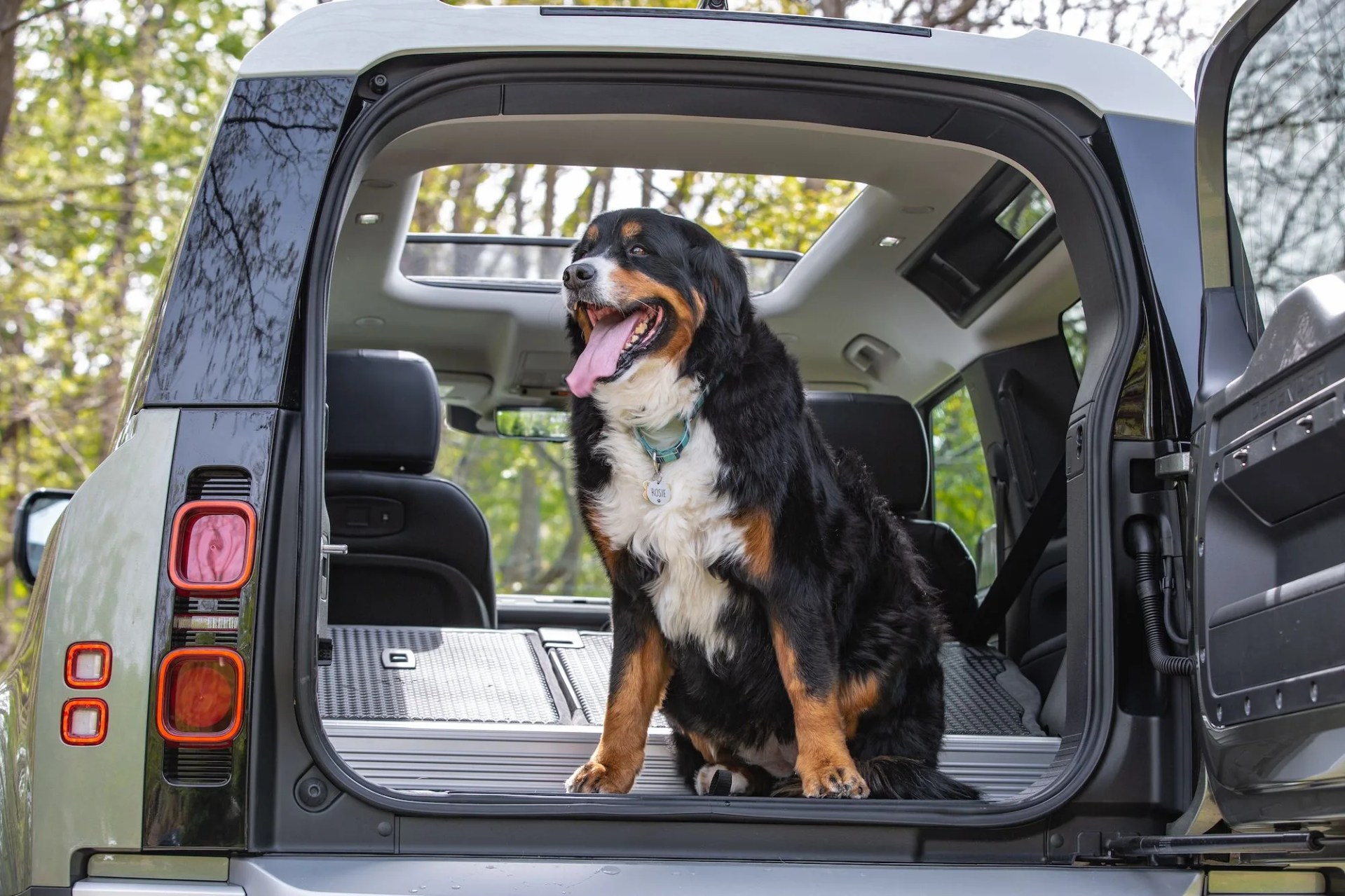 land rover defender 90 bernese mountain dog