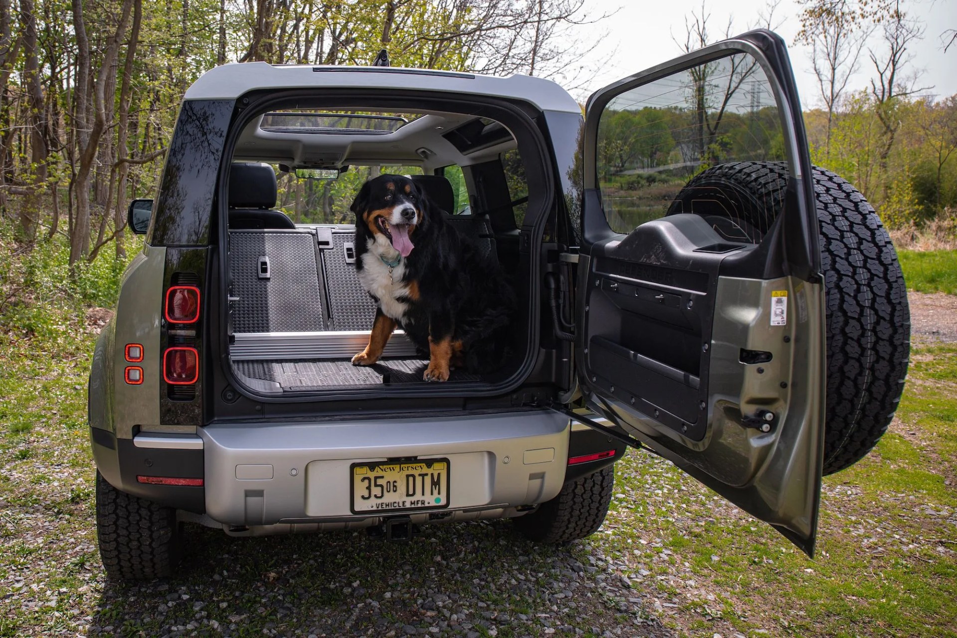 land rover defender 90 bernese mountain dog