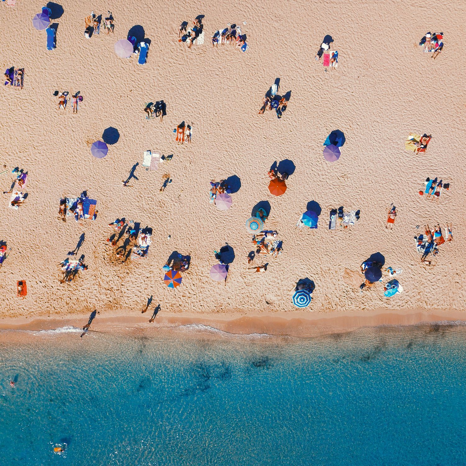 aerial top view of people sitting on a sandy beach