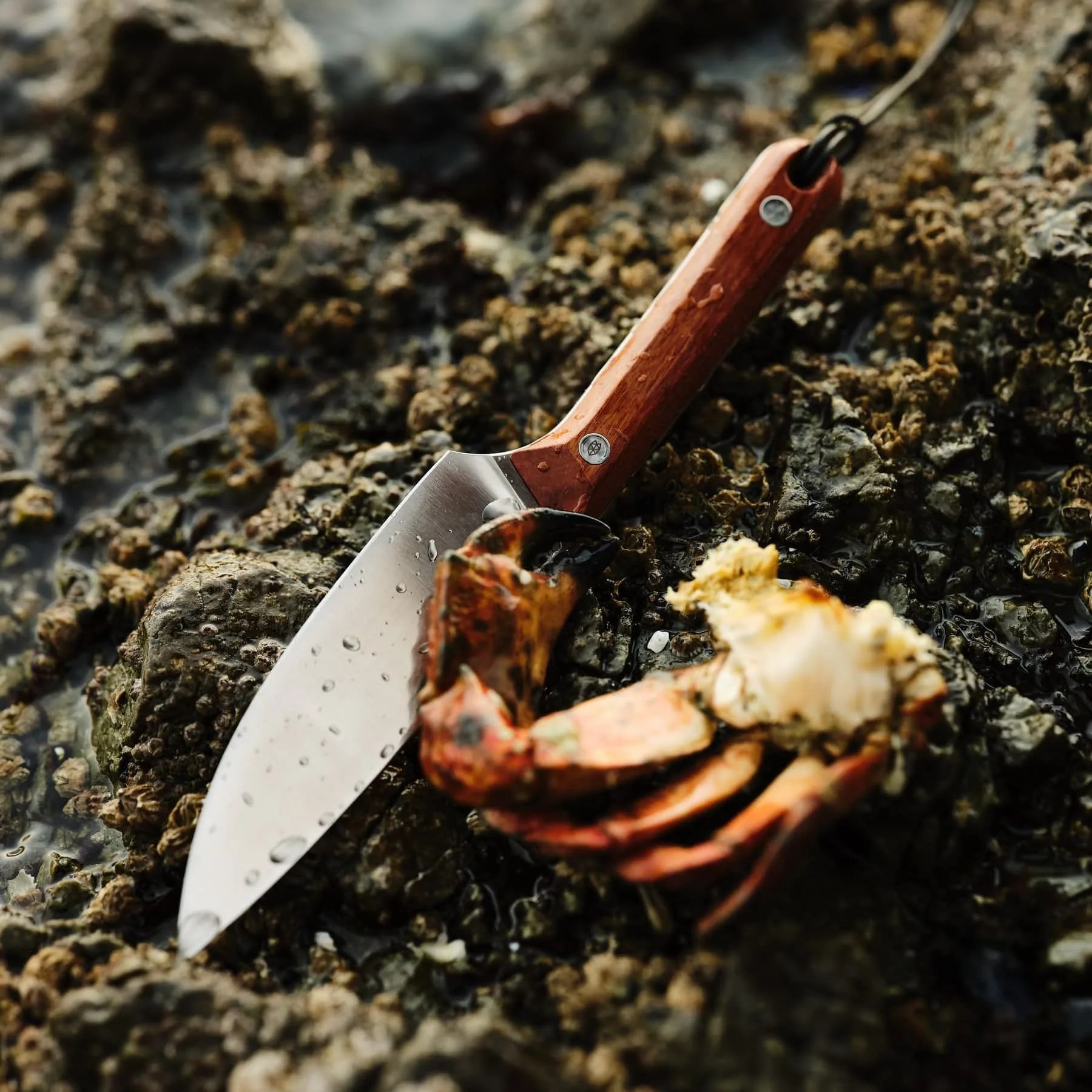 james brand huckberry hells canyon