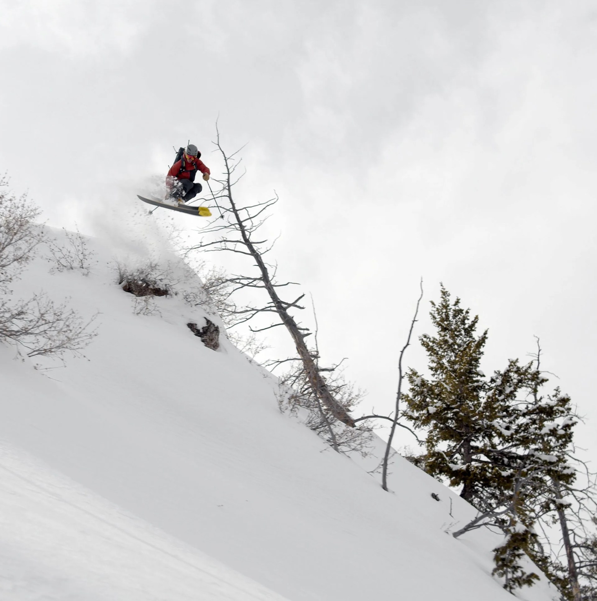 wndr alpine reason 120
