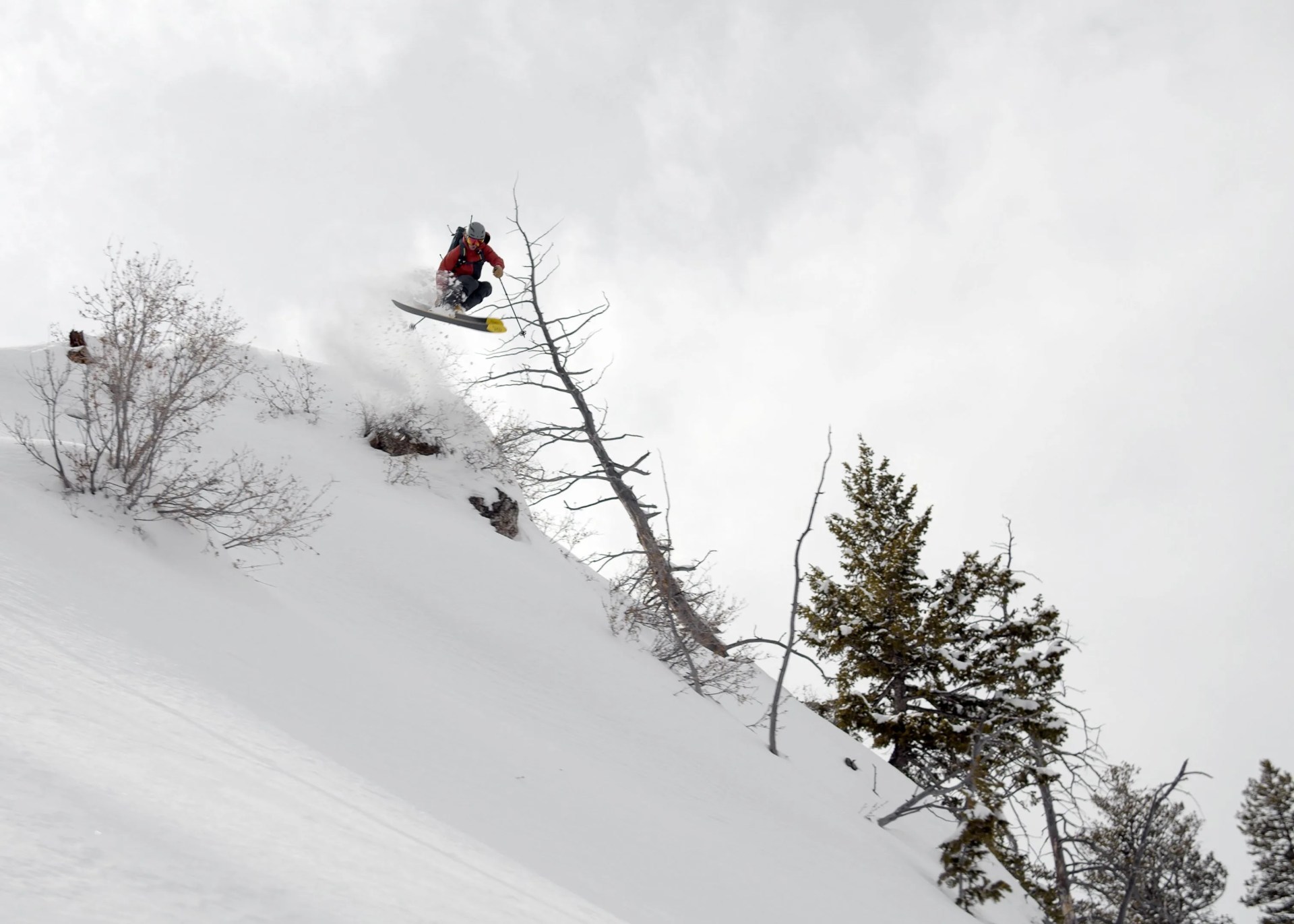 wndr alpine reason 120