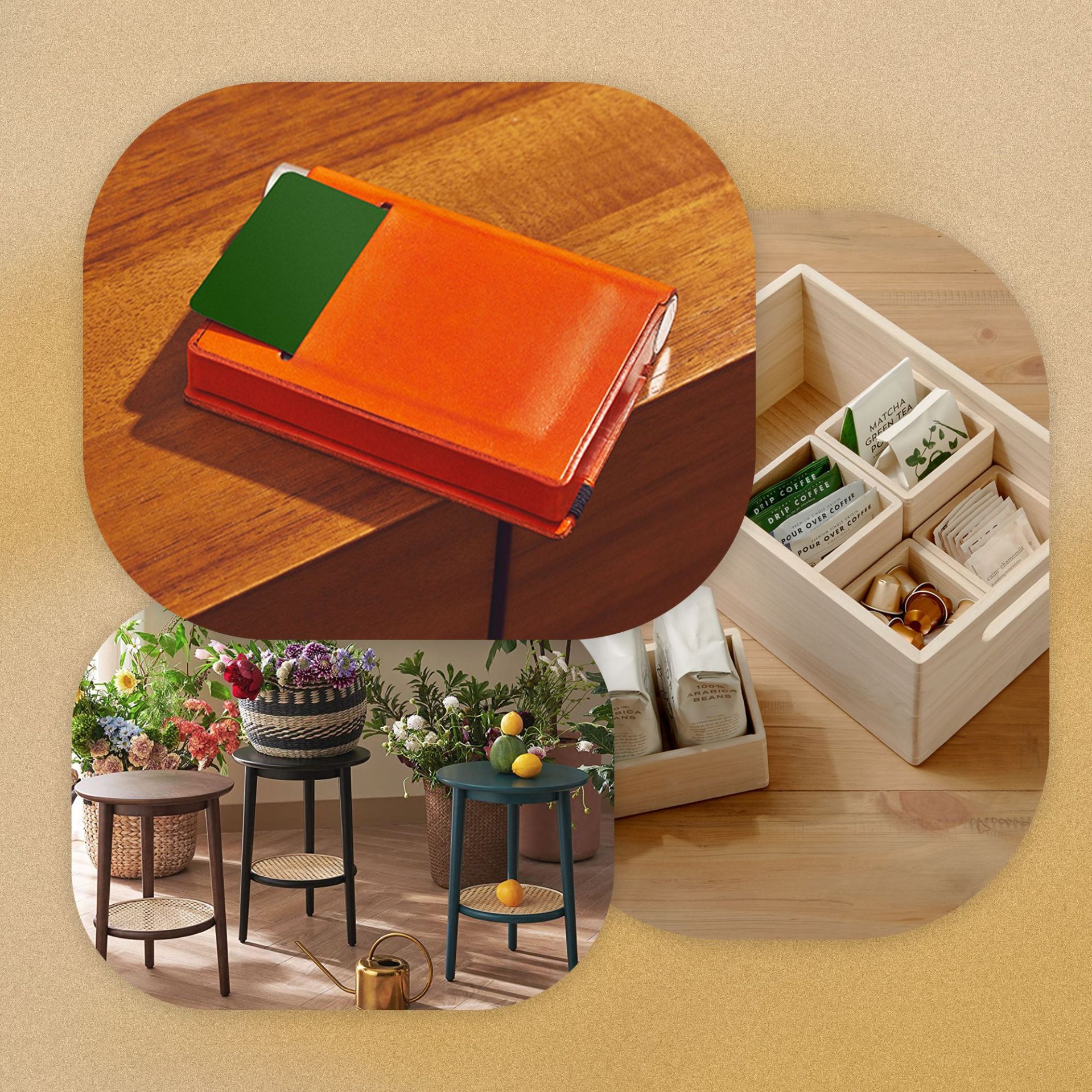 houseplant pocket case, organizational drawers, and a side table