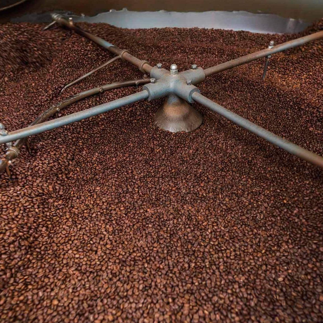 coffee roaster