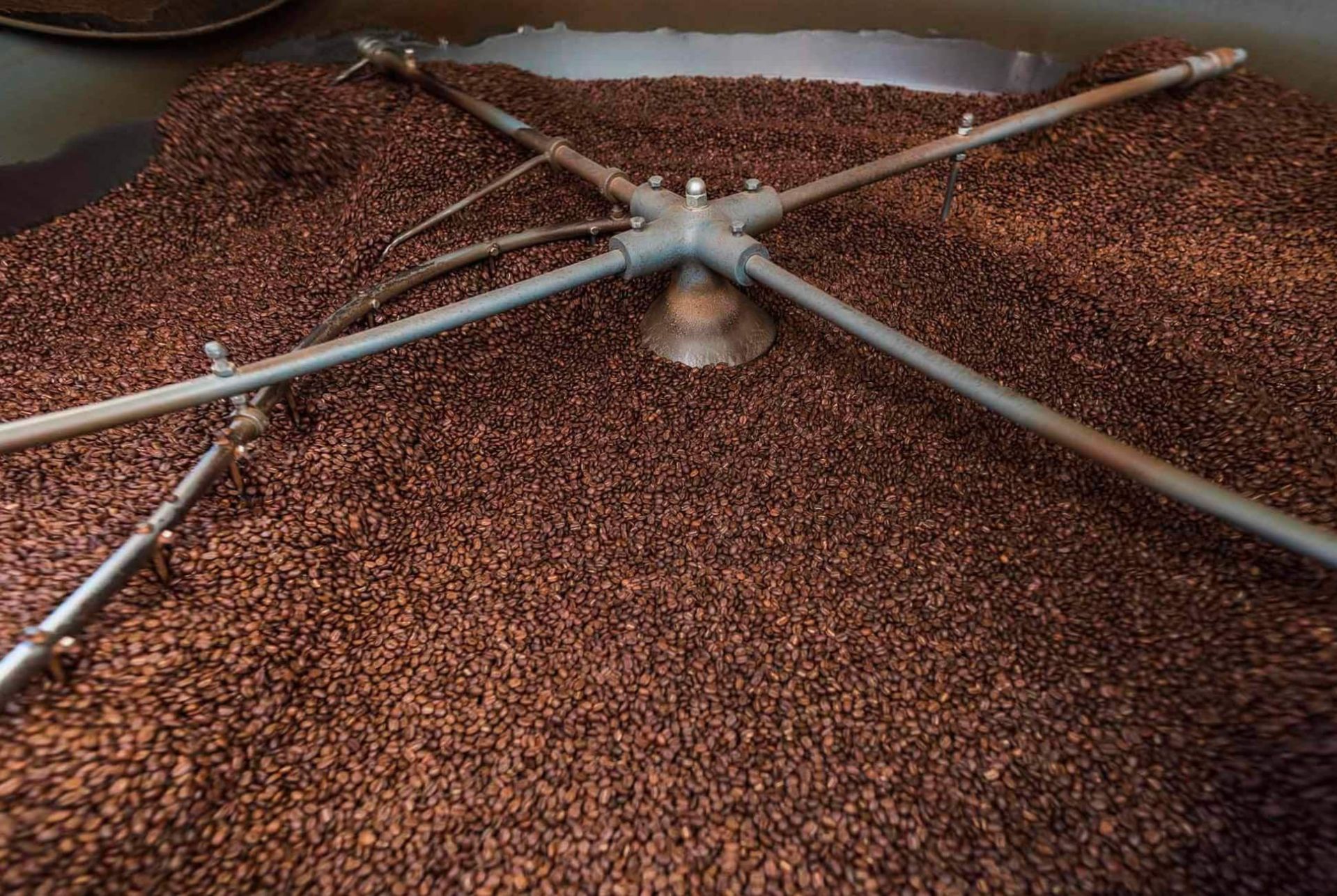 coffee roaster