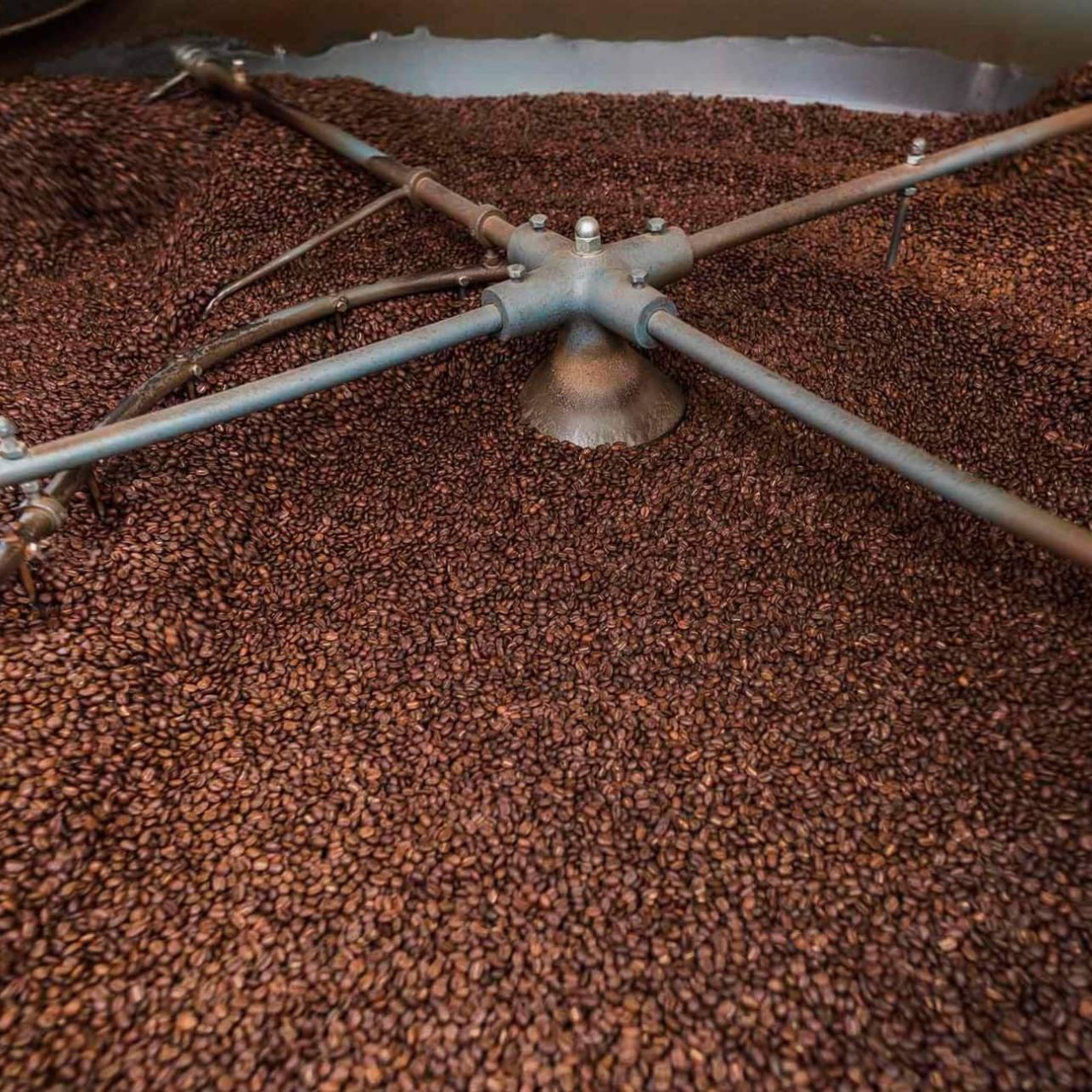 coffee roaster