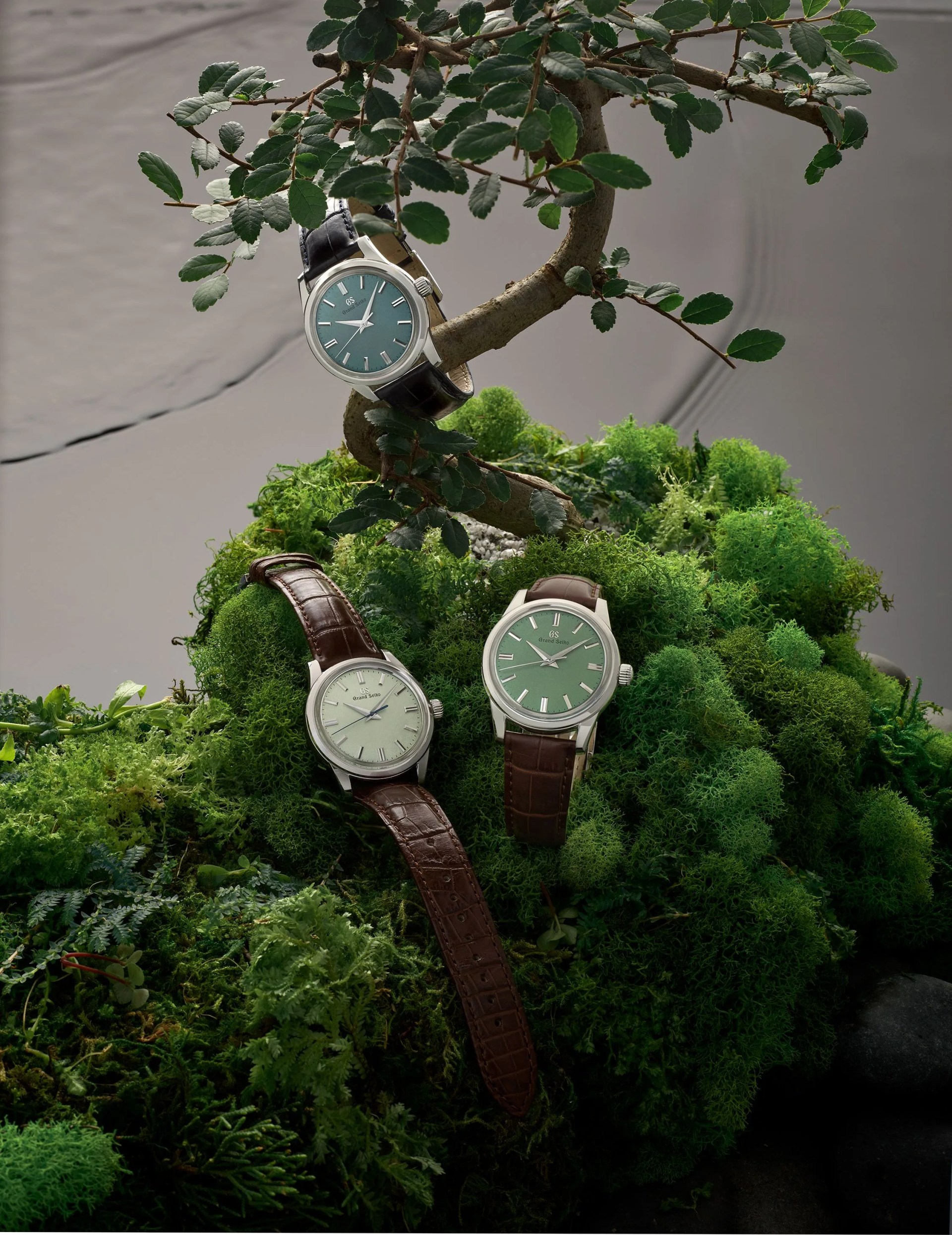 grand seiko elegance collection us limited edition