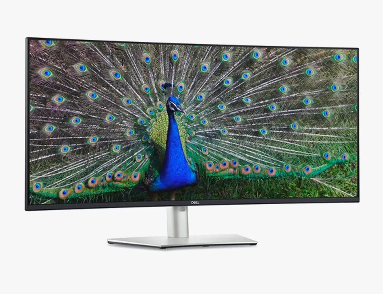 tech roundup
