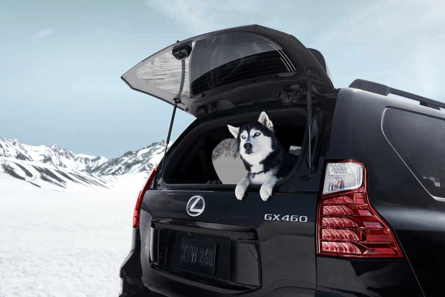lexus lx 460 2022
