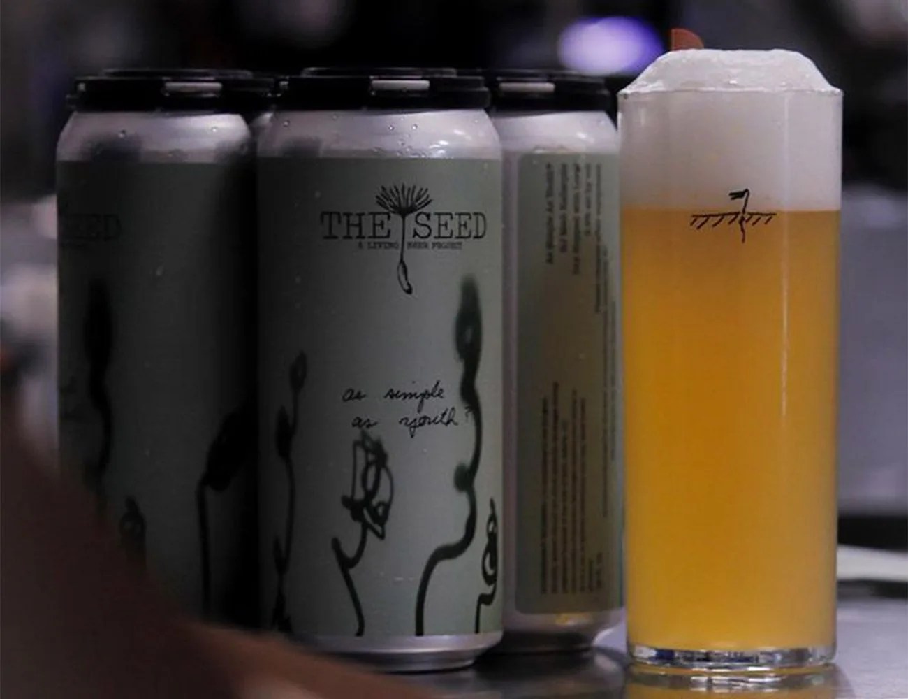 the seed as simple as youth beer