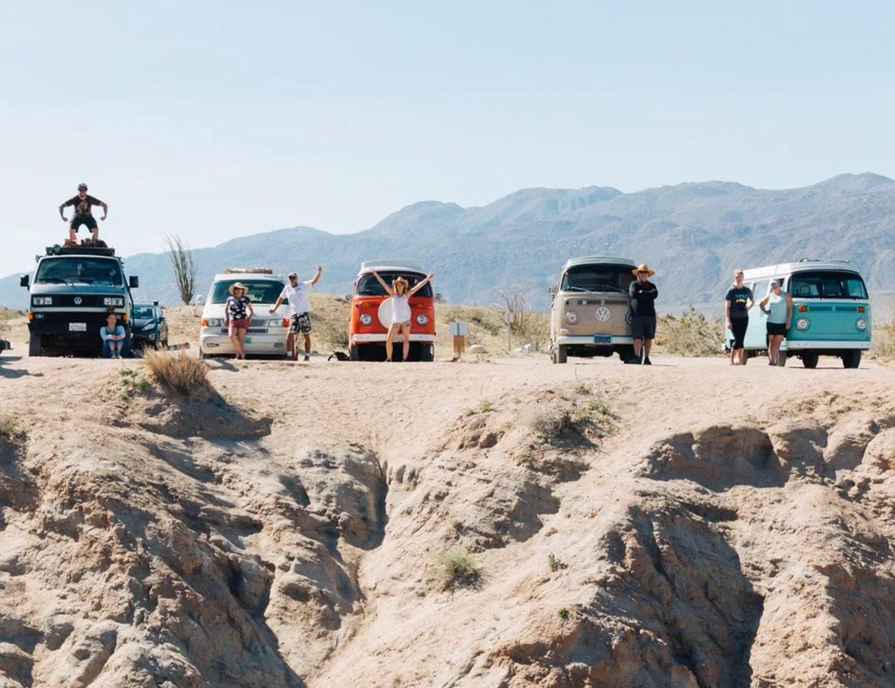 vintage surfari wagons