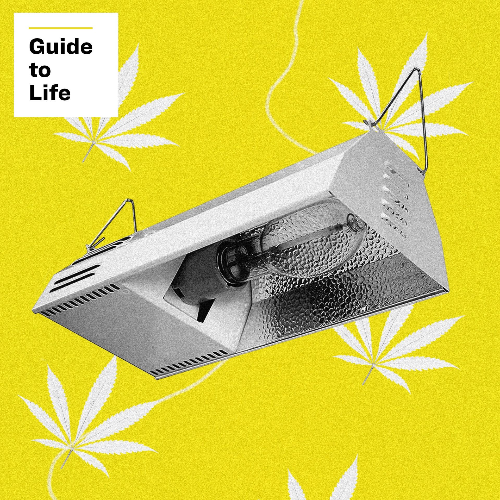 grow lamp with weed pattern