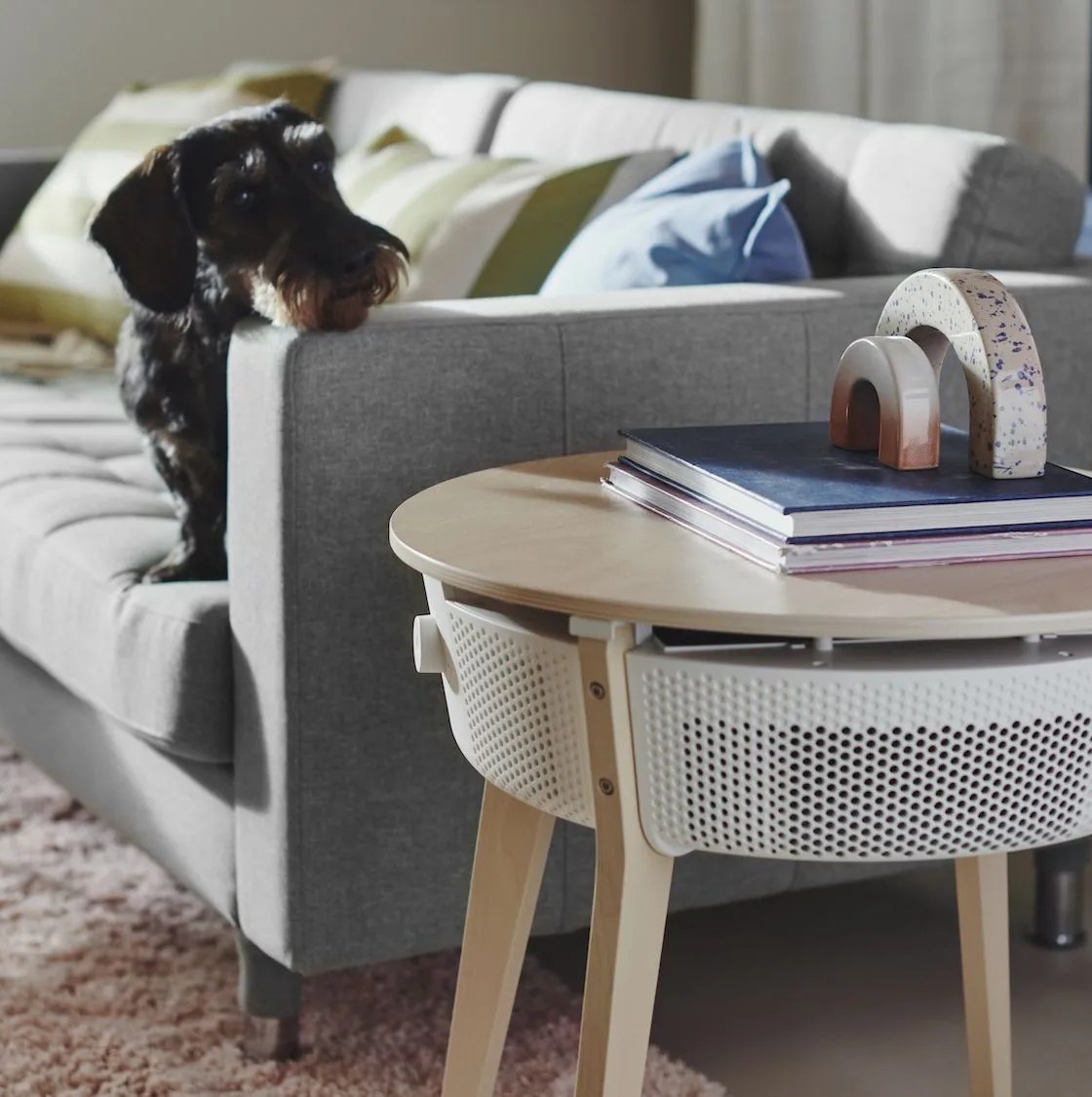 air purifier