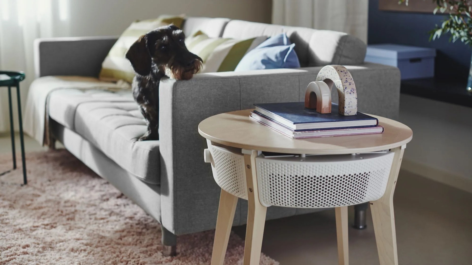 air purifier
