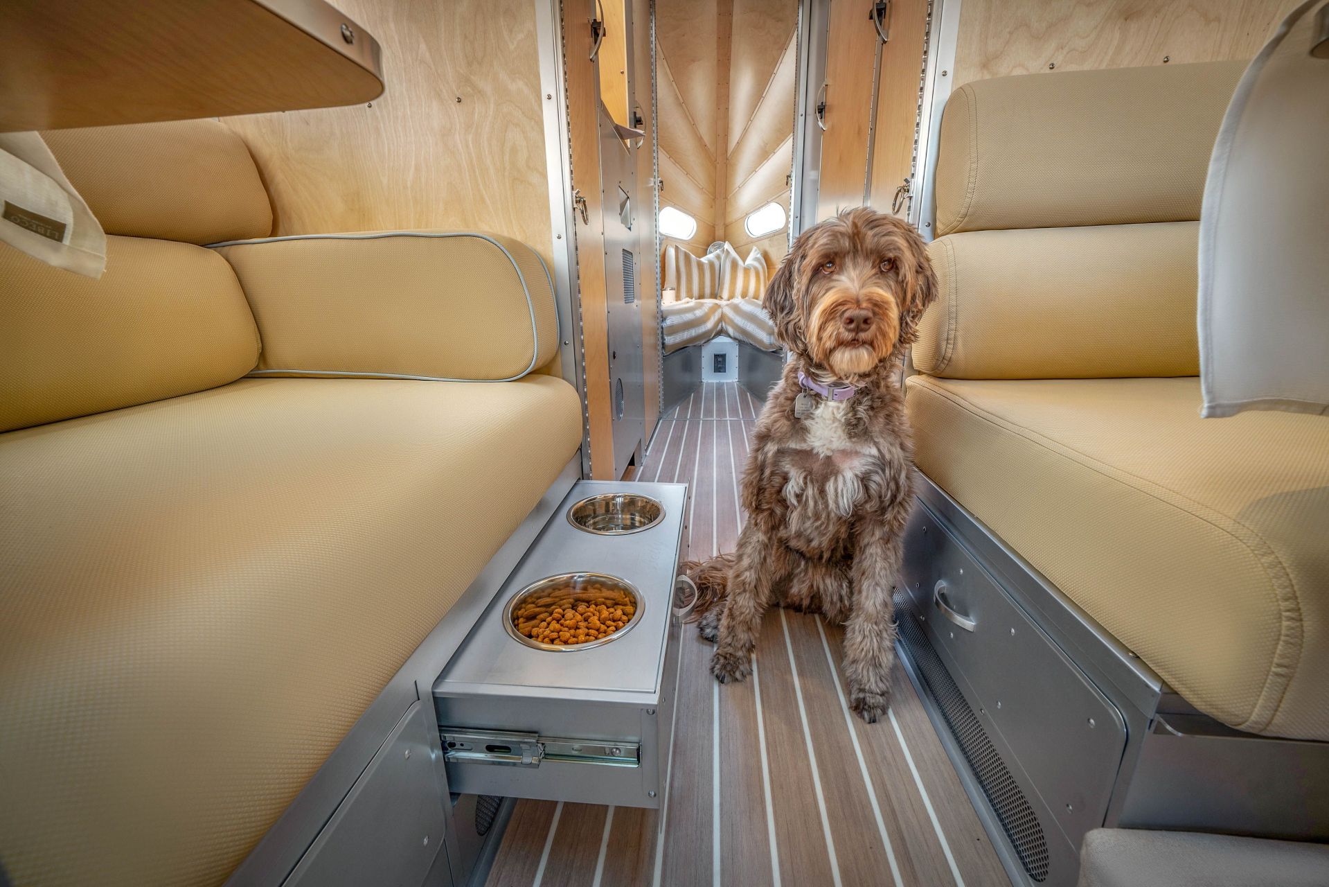 bowlus terra firma dog