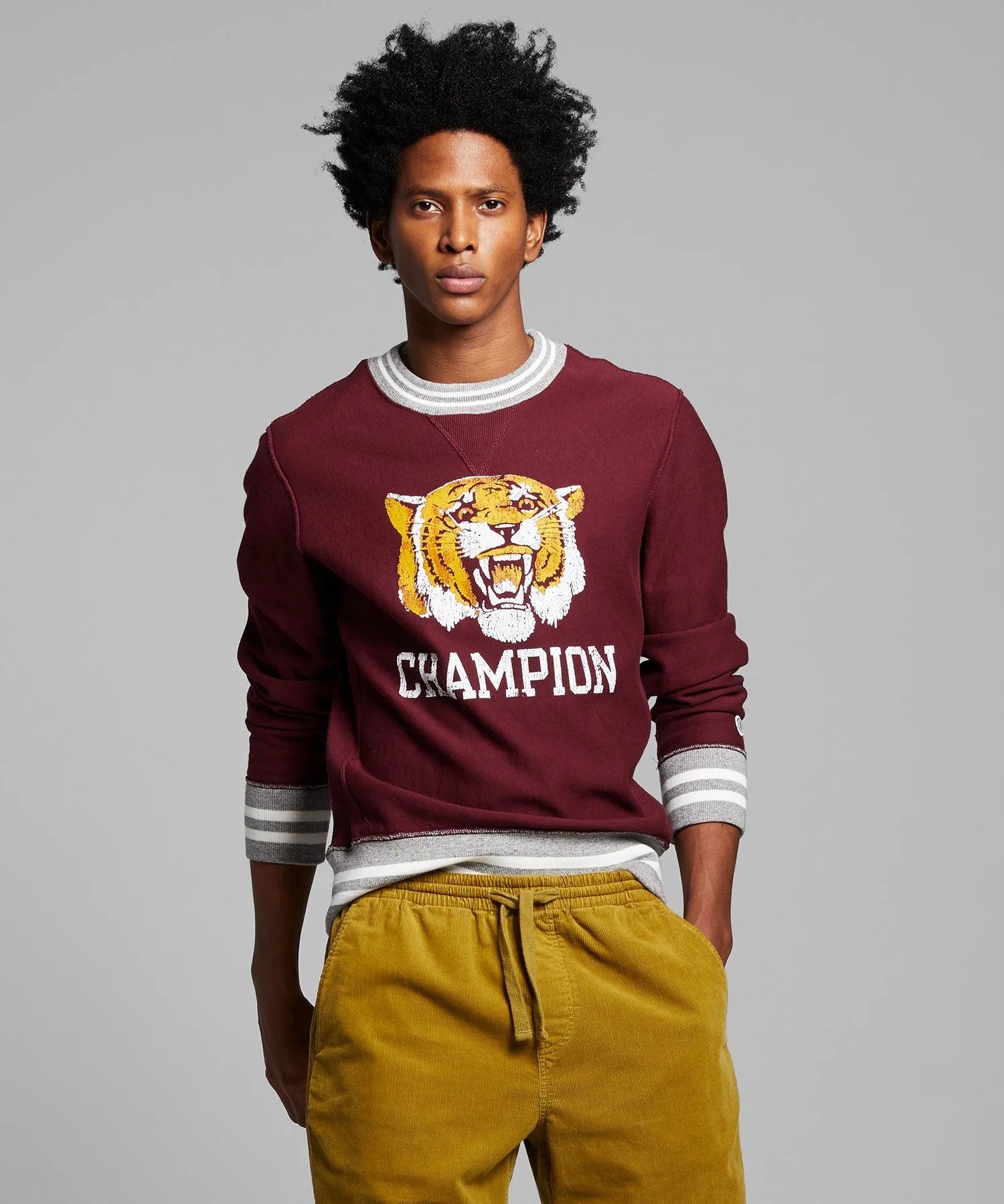 tiger sweatshirt