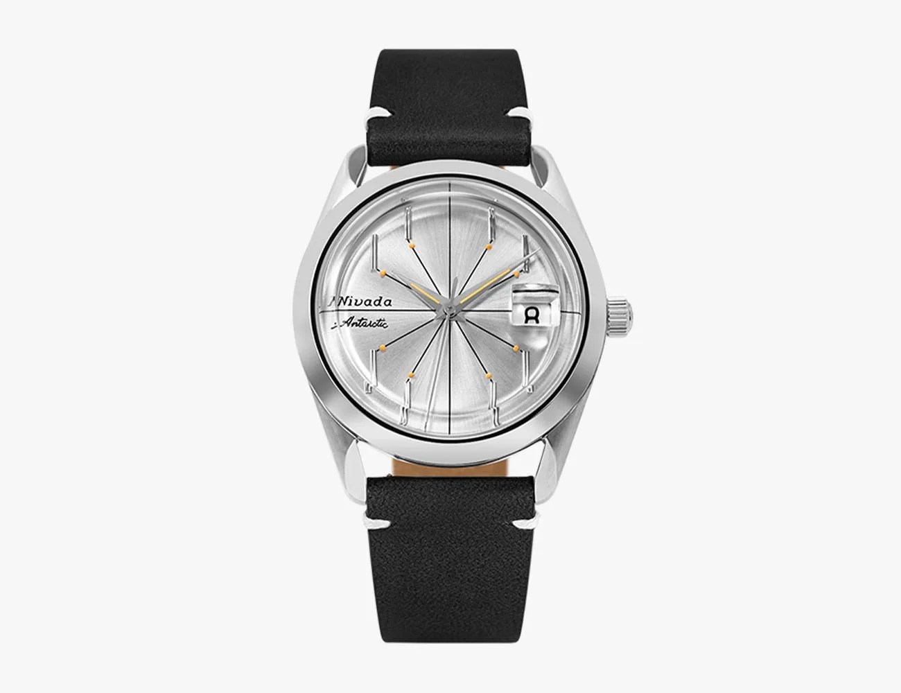 Nivada Antarctic Spider
