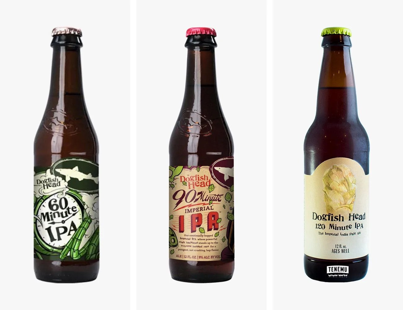 dogfish ipas