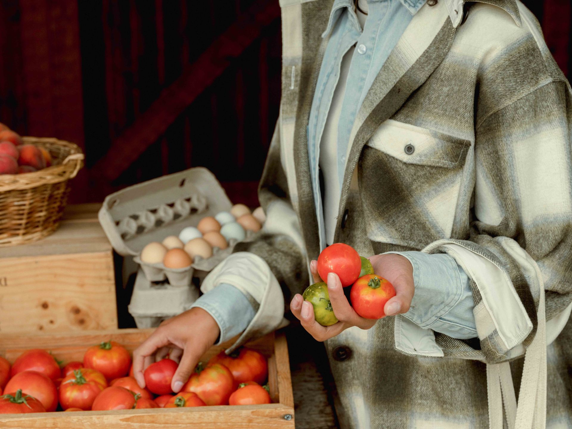 holding tomatoes