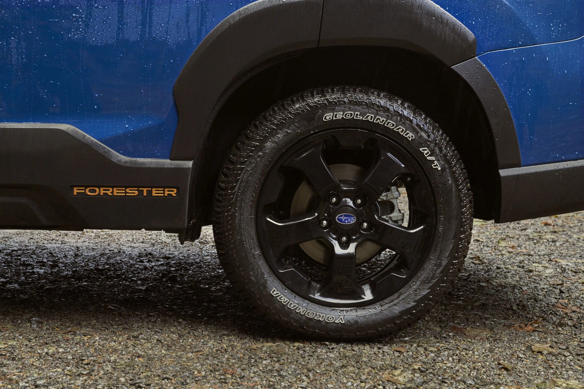subaru forester wilderness