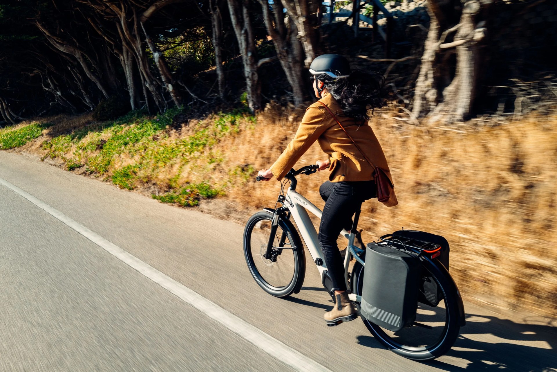 ebikes