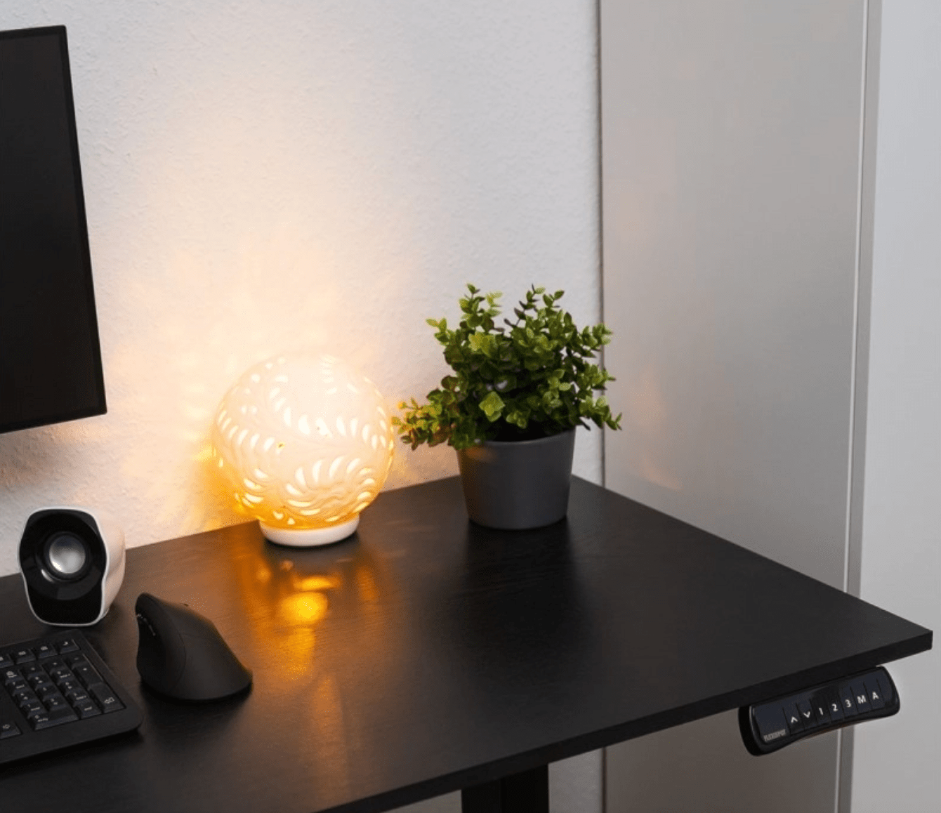flexispot standing desk
