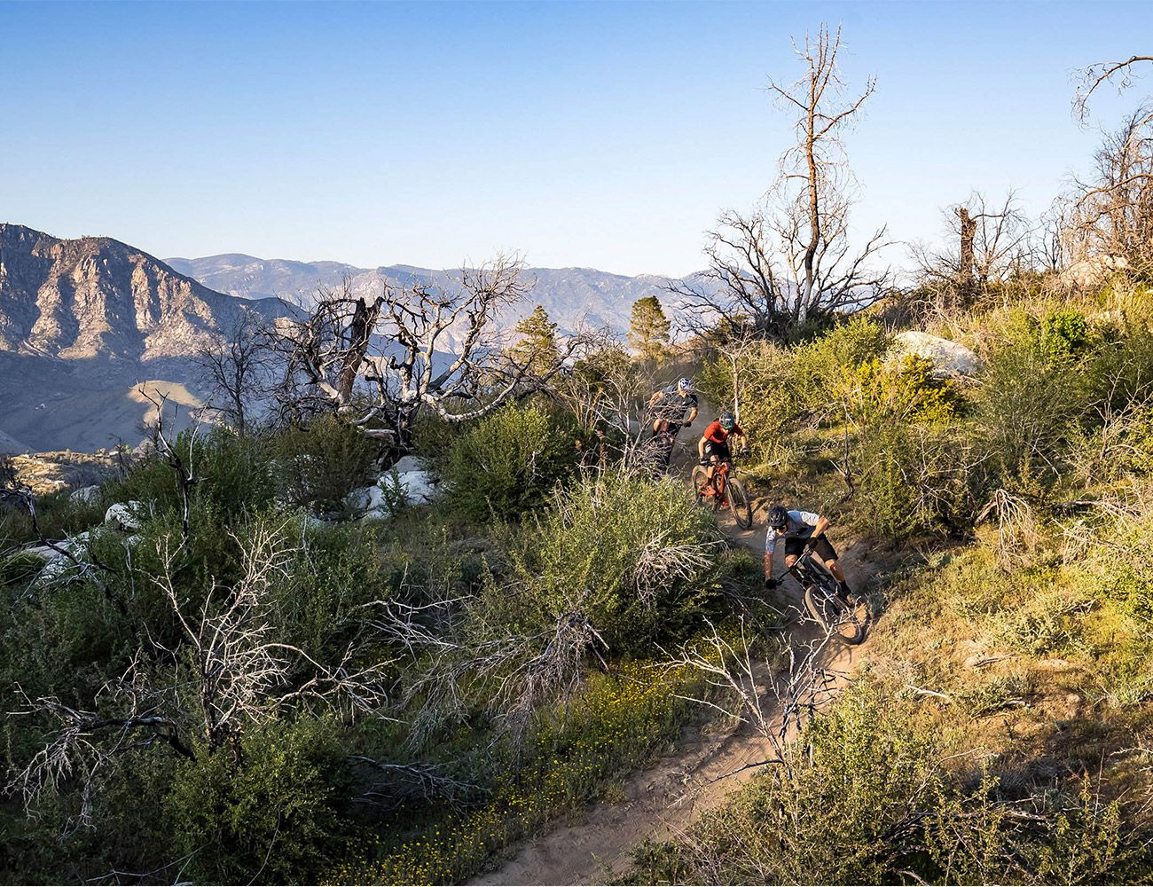 a group of bike riders descending a hill