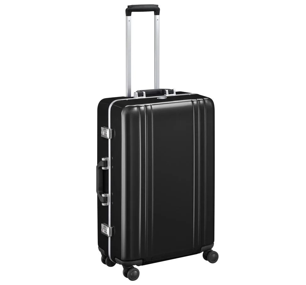25" Spinner Travel Case