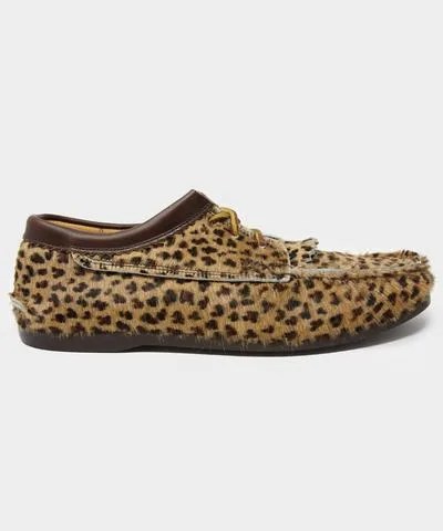 Yuketen Calf Hair Blucher in Leopard