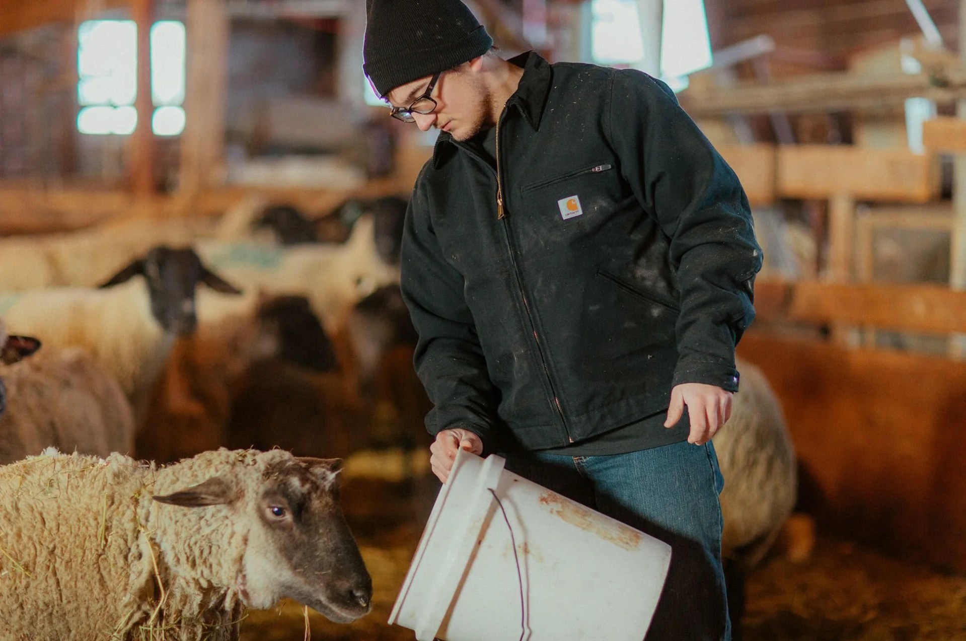 carhartt