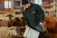 carhartt