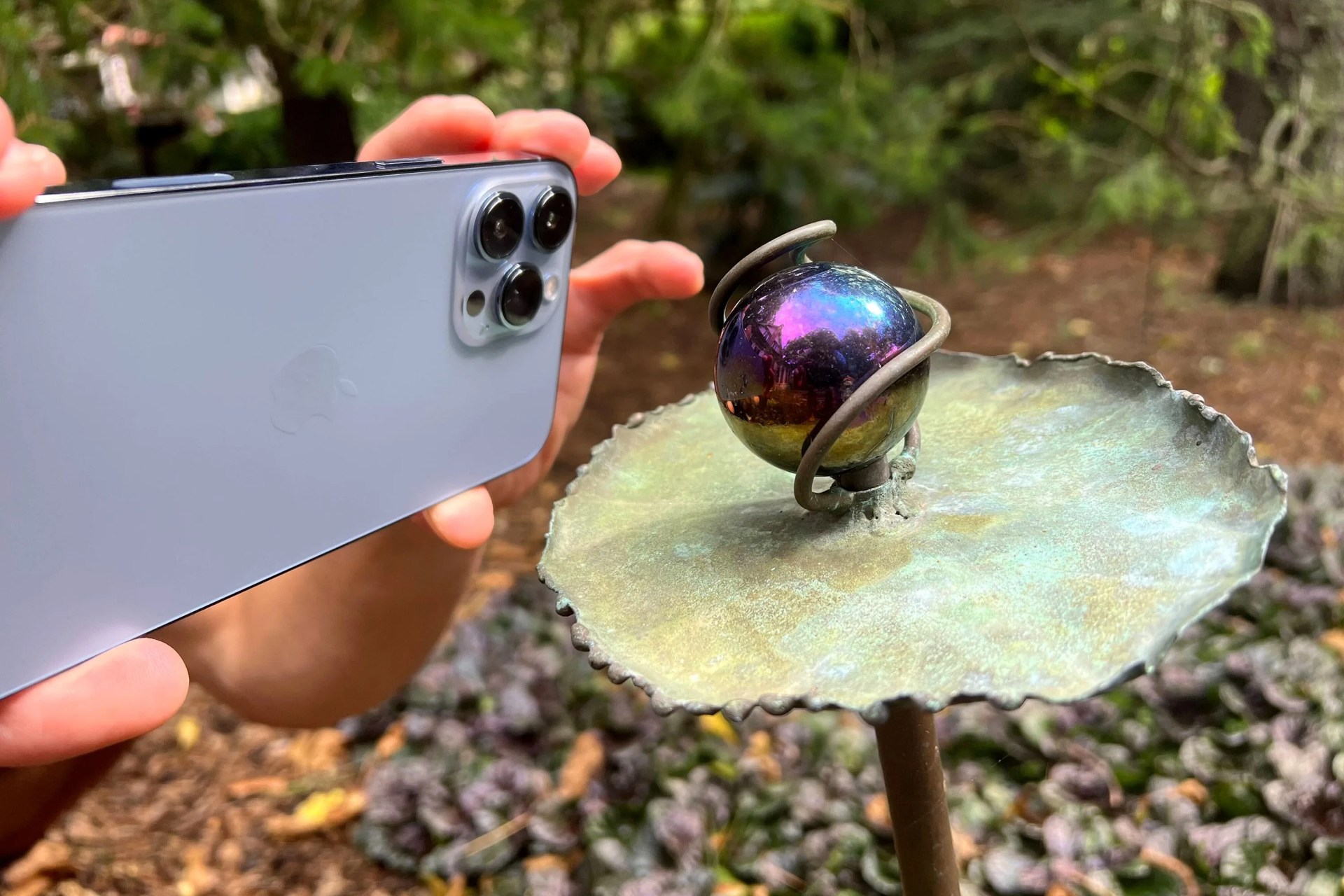 taking a photo with iphone 13
