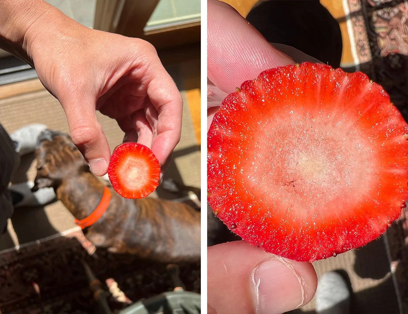 strawberry