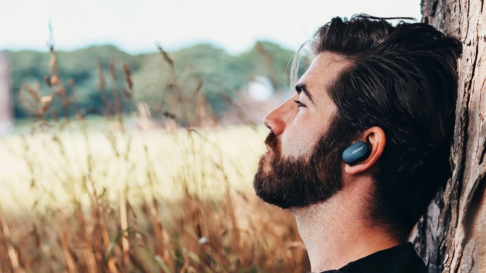bose quietcomfort