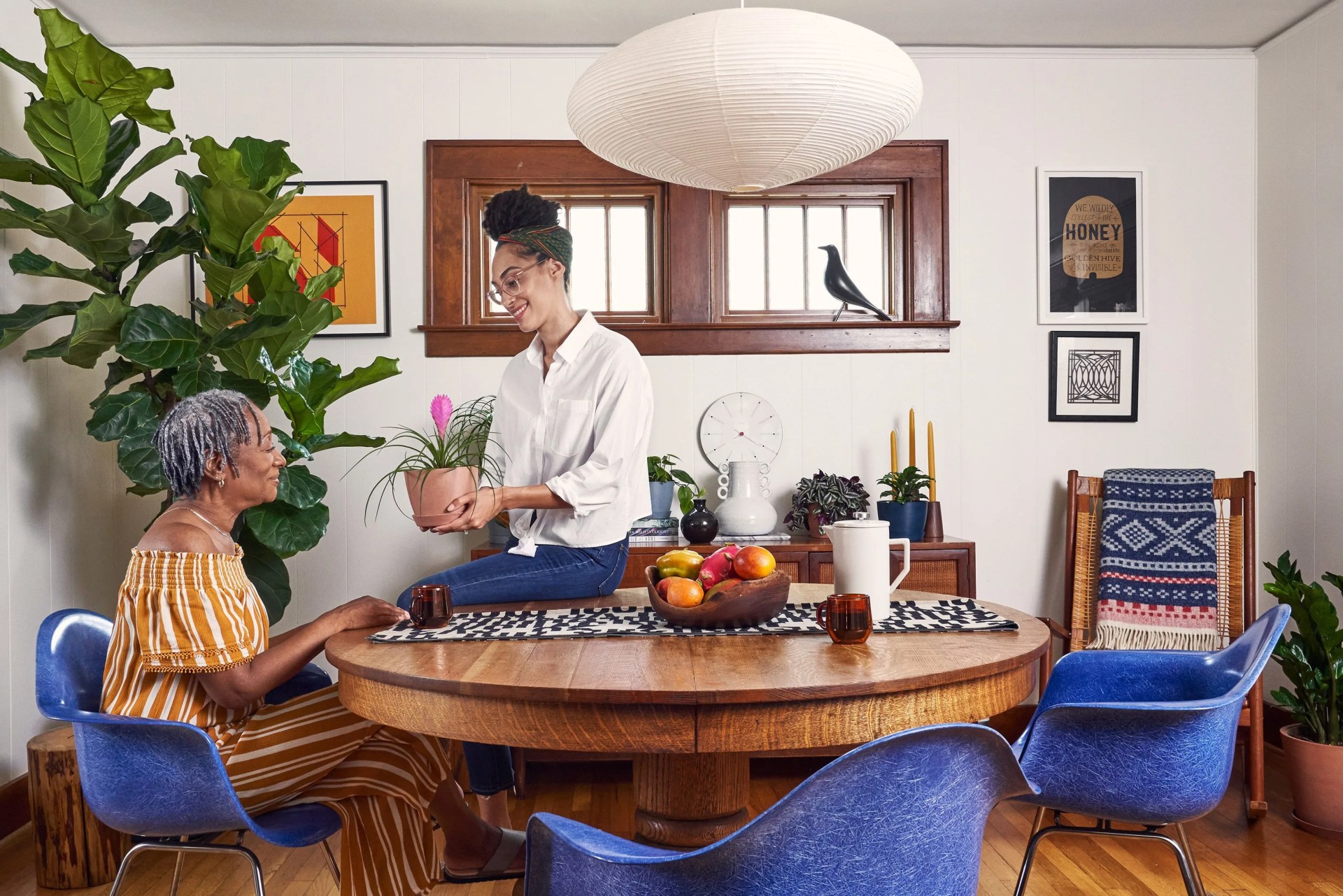 woman gifting a plant to an older lady