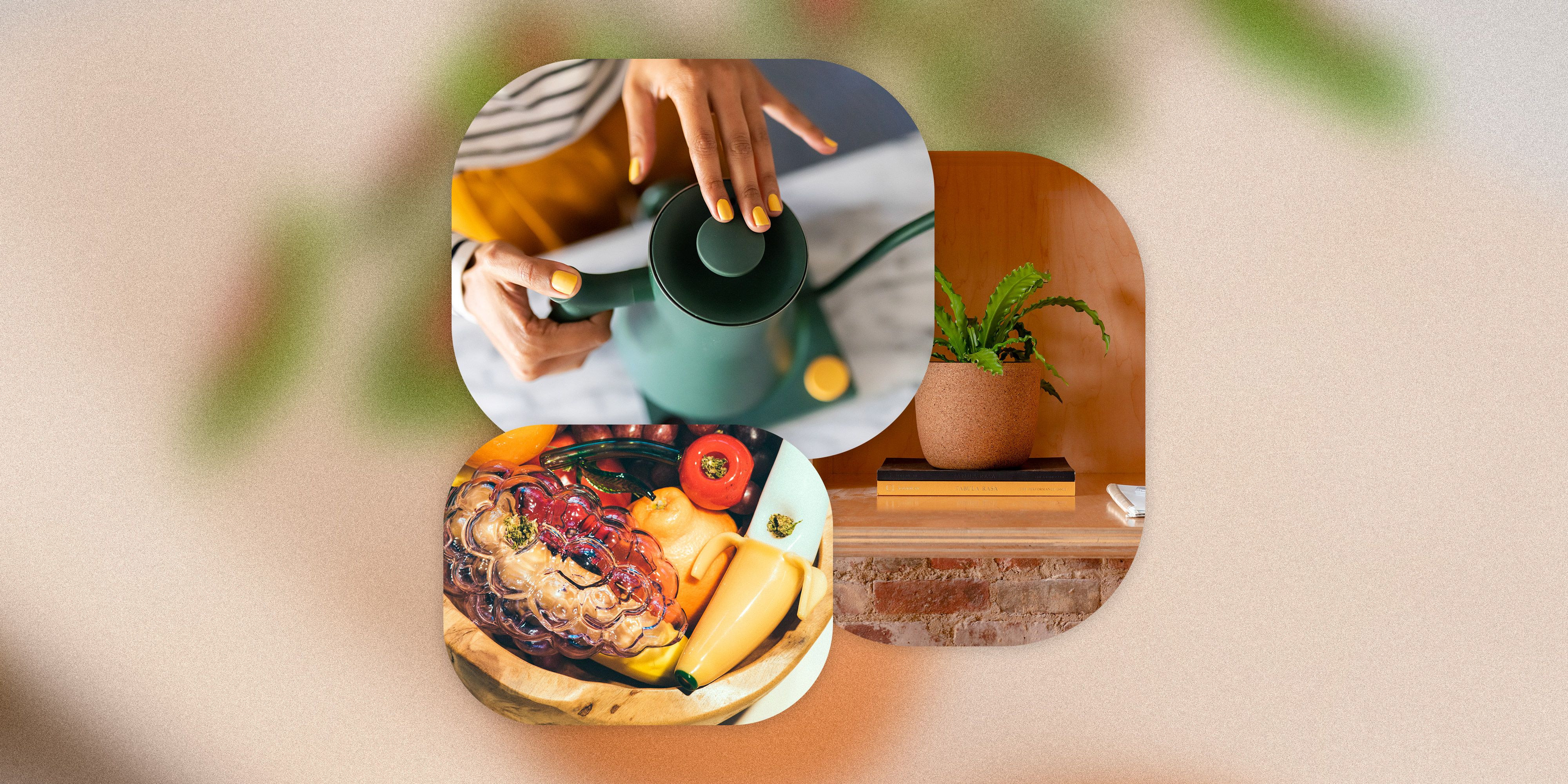 window shopping kettle, plant, and fruit bongs